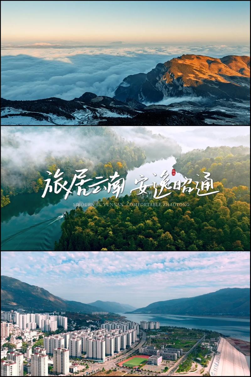 平面设计